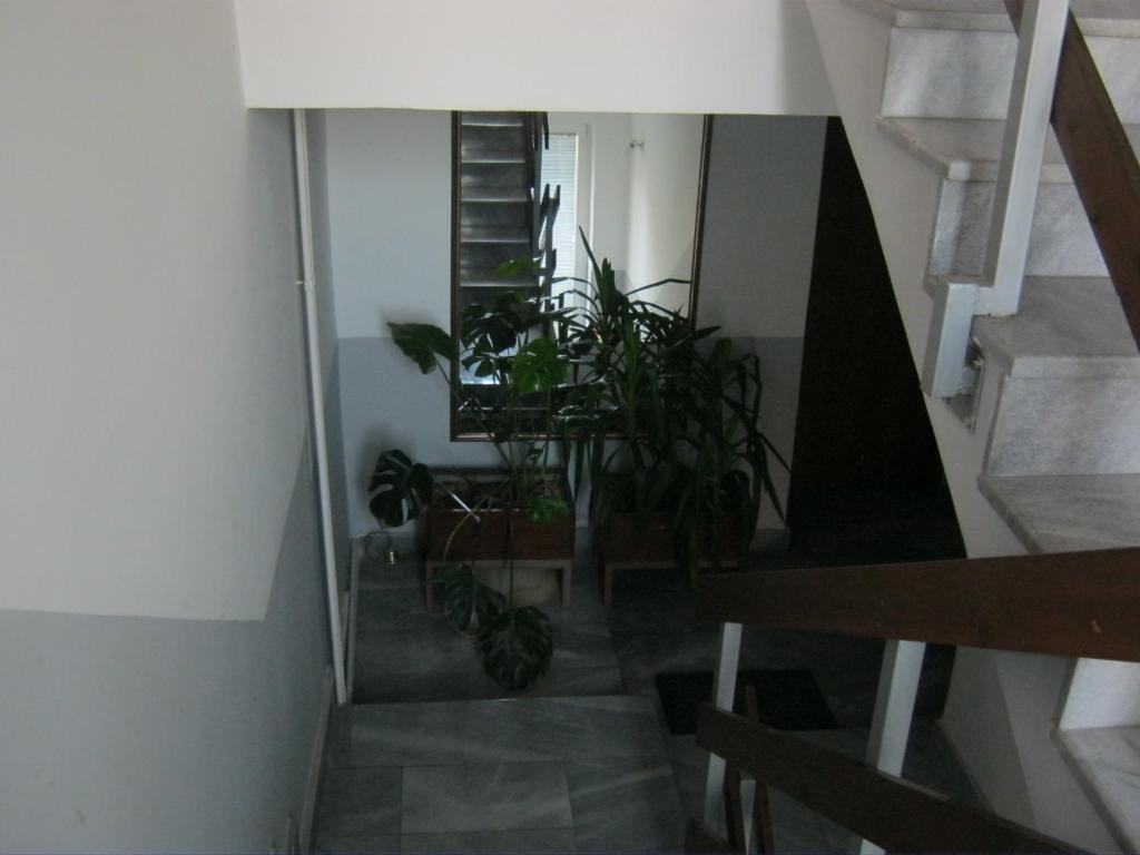 Hostel Bimbo Skopje Interiør billede